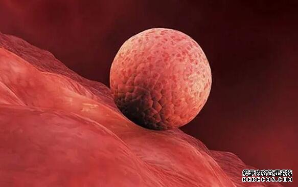 广东定向供卵 广东试管医院推荐： ‘胎儿做四维生长指标能判断男女吗’