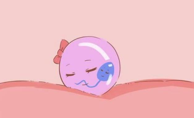 湛江供卵试管 湛江久和医院是正规医院吗 ‘5-6周b超如何看男孩女孩’