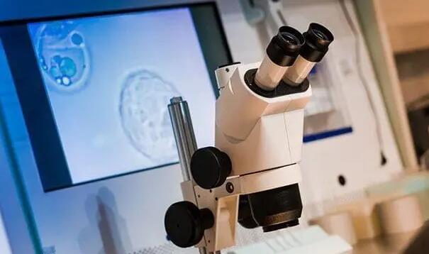 深圳北大医院试管经历做试管婴儿要经历哪些环节？