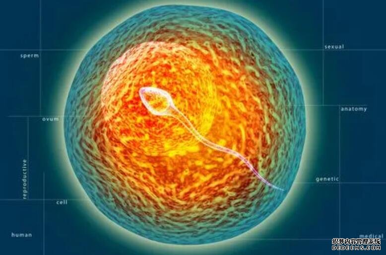 乳腺结节吃什么食物好？常吃这7种食物对身体好