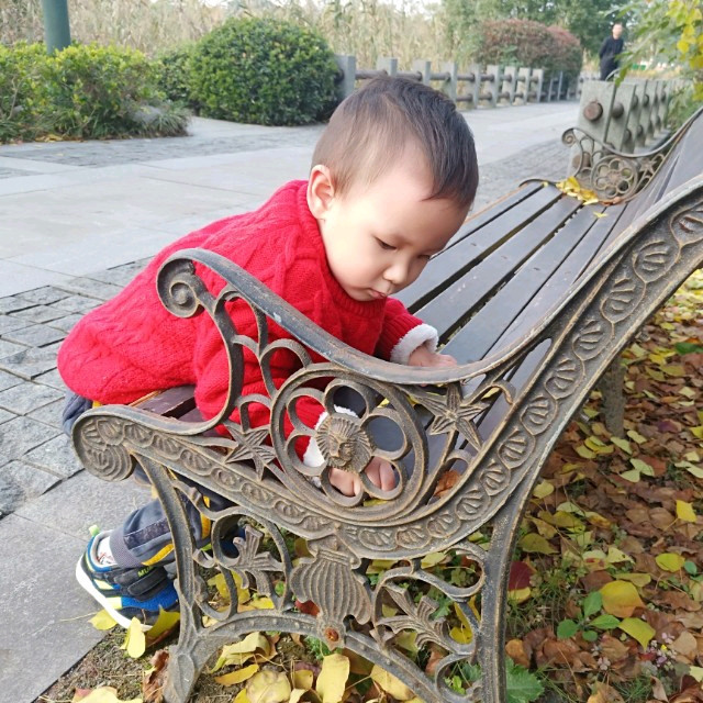 南通供卵试管 南通妇幼试管成功率多高以及收费标准。 ‘怀孕3个月男孩外生殖器胎儿彩超图’