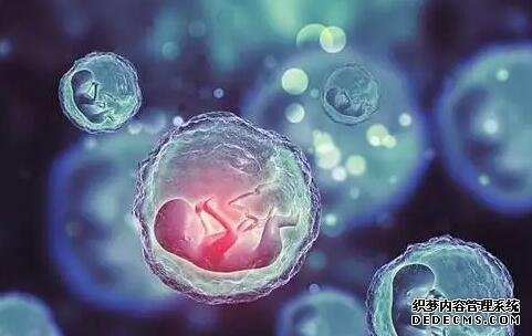 福州助孕机构 福州试管医院福州哪里做试管 ‘孕囊4.0x1.6×3.2是男孩还是女孩’