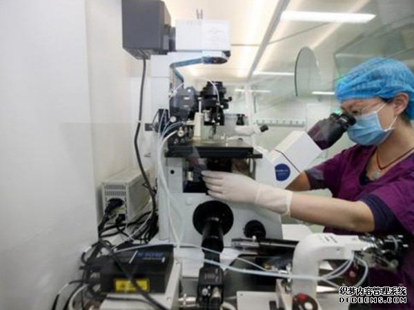 沈阳失独家庭补助政策 沈阳供卵试管费用多少，2022辽宁供(借)卵试管婴儿费用预估 ‘酒精测试尿液是男孩女孩准确吗’