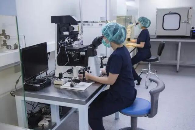 烟台供卵试管 2023烟台毓璜顶医院试管婴儿成功率一览，附助孕成功率预估表 ‘彩超孕囊形状看男女准确吗?’