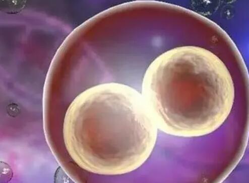 南宁二医院试管 南宁哪家试管婴儿医院成功率最高 ‘孕囊数据多少天怎么看男女’