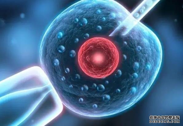 潍坊代怀 潍坊附属生殖三代试管好不好？如何实现优生优育？ ‘双项颈减股骨长看男女’