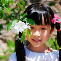 北京试管价格表 关于北京2020年计划生育政策 ‘早期彩超看男孩女孩诀窍’