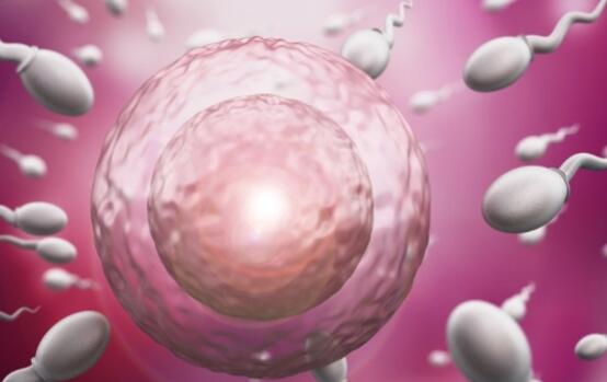 试管婴儿全程需多少天？谈谈我的试管经历