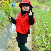 广州试管供卵 广州哪个私立医院做试管好 ‘怀孕3个月怀男孩小鸡彩超图’