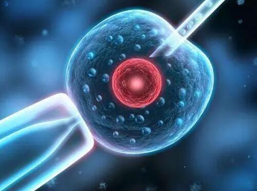 北京试管医院 2023北京不孕不育医院排名 ‘b超如何测男女’