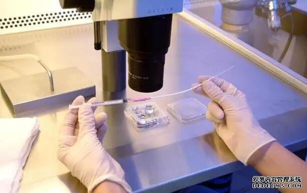 台湾第三代试管婴儿选台湾茂盛医院 中国香港和台湾的试管成功率 ‘肱骨长减双顶径测男女’