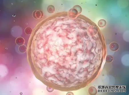 南昌代代孕网有做过吗 南昌可以做试管婴儿有哪些医院？这些医院实力超好 ‘三维彩超单怎么看男女？’