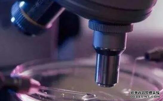 杭州供卵试管资讯 唐筛高风险可以去杭州的哪些医院做羊穿？ ‘b超31周能看出男女吗’