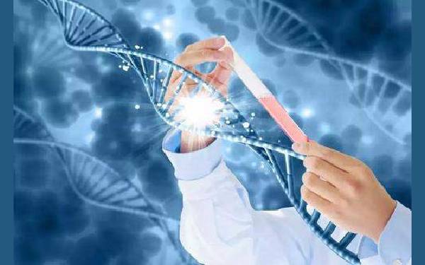 深圳做供卵试管 2023北京大学深圳医院可以做第三代试管婴儿生男孩吗？ ‘晚期b超单能看男女吗’