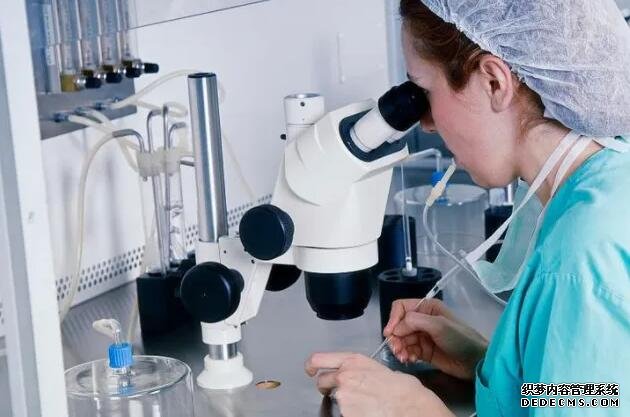 辟谣，“胎停”都是女性的错？这6种男性才是导致胎停的原因