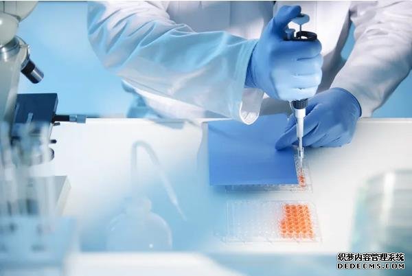 成都供卵试管产子公司价格 成都西囡医院试管婴儿多少钱 ‘怀孕做b超多盖一处房确定是男孩吗’