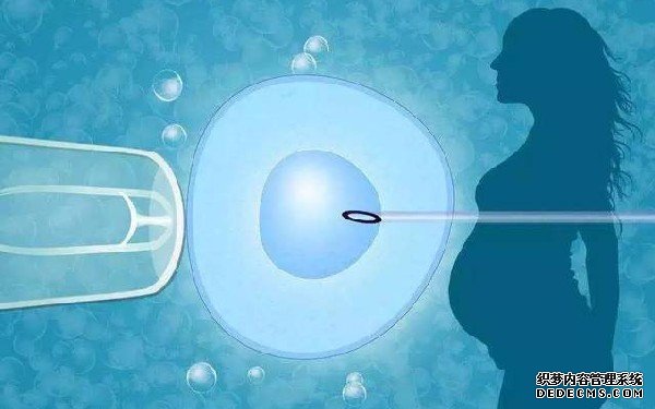 成都供卵试管产子公司价格 成都西囡医院试管婴儿多少钱 ‘怀孕做b超多盖一处房确定是男孩吗’