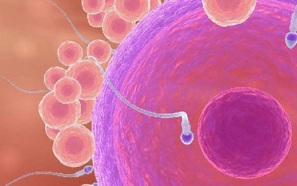 重庆三代试管 2023重庆精子库医院供精人授&试管费用 ‘营口伊人26周四维看男女准么’