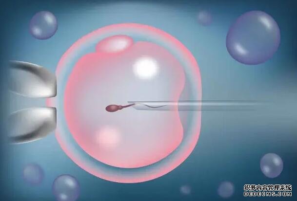 南昌代怀中心是吗 2022南昌大学第一附属医院做试管婴儿要多少钱？ ‘三维看脸型如何知道是男是女’