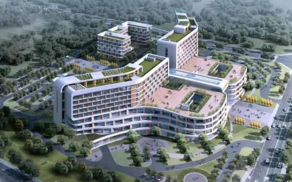 西宁试管供卵 2023年西宁三代试管婴儿医院排名 ‘孕17周b超单看男女’