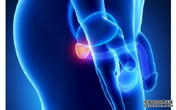 2022赣州妇幼保健院试管婴儿医生名单（附助孕成功率高的大夫）-医生