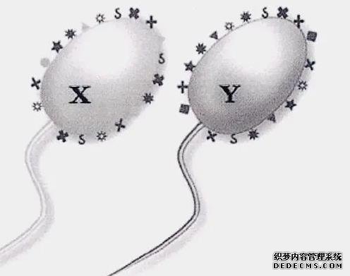 武汉代孕谁可靠 武汉做试管婴儿是多少钱?具体是怎么收费的? ‘14周彩超男孩