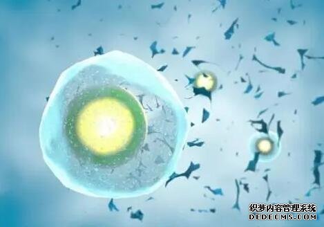 广州供卵试管种类 广州中山孙逸医院试管价钱？你知道试管婴儿的费用在哪儿吗？ ‘从b超数据看男女’