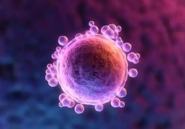 上海供卵排队的有哪些医院 上海仁济医院试管费用多少？ ‘三维辩男女’