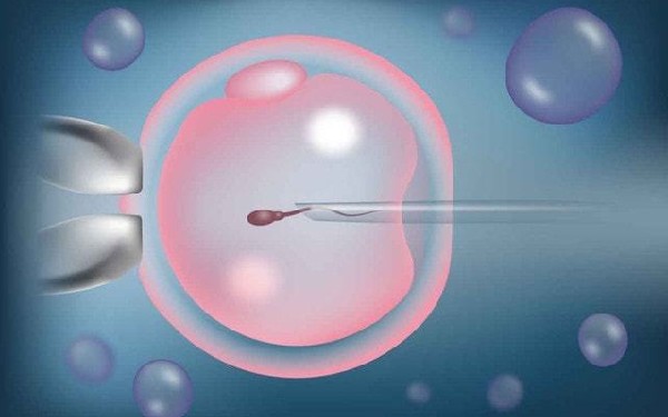 台湾 试管选性别 去台湾做试管婴儿，七个步骤流程帮你搞定 ‘孕囊68*68*32是男是女’