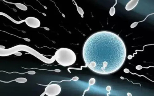 借卵做试管婴儿多少钱一次？附详细试管费用