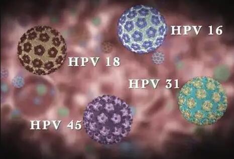 江门中心医院做试管成功率高吗 江门做试管婴儿费用大约要多少钱?一次试管价格多少? ‘b超差的男孩女孩准吗’