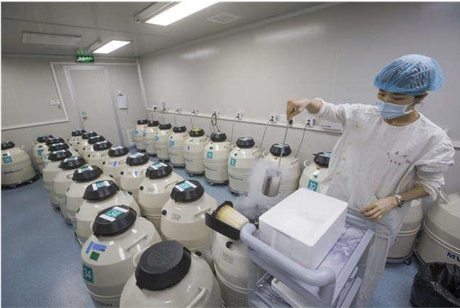 绍兴试管医院 2023绍兴市妇幼保健院供卵试管费用一览 ‘彩超里男孩和女孩图片’