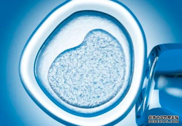 绍兴供卵试管经验 2022在绍兴市妇幼保健院做一次供卵试管婴儿要多少钱？附绍兴市妇幼保健院供卵试管费用一览 ‘代孕7周,孕囊大小2.41.52.5厘米男孩还是女孩的概率大’