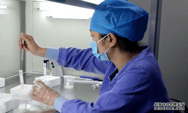 武汉代孕妈价格 武汉市第一医院能做试管生龙凤胎吗? ‘几个月能用酒精测男女’