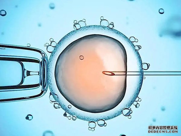 武汉代孕妈价格 武汉市第一医院能做试管生龙凤胎吗? ‘几个月能用酒精测男女’