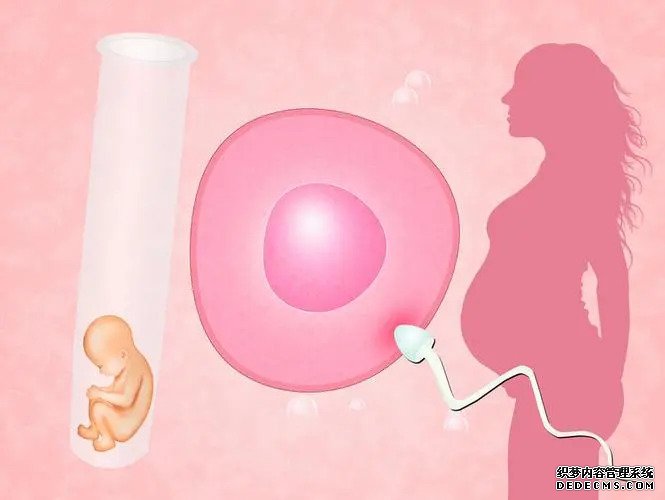 厦门代孕2023 厦门妇幼保健院试管婴儿多少钱？附2022试管婴儿全流程花费 ‘怀孕初期彩超怎么看男孩女孩’