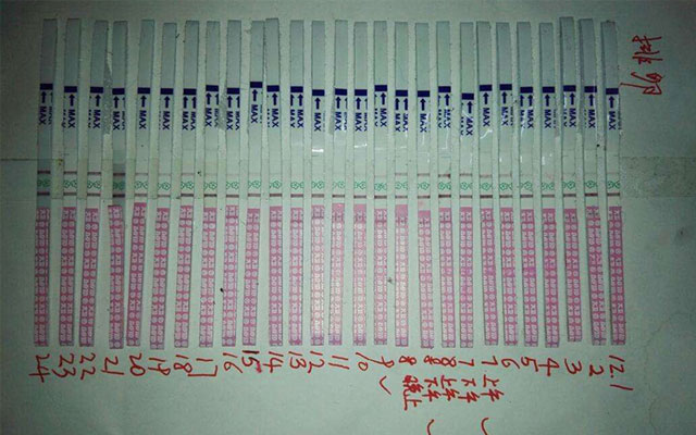 排卵试纸表达的具体意思