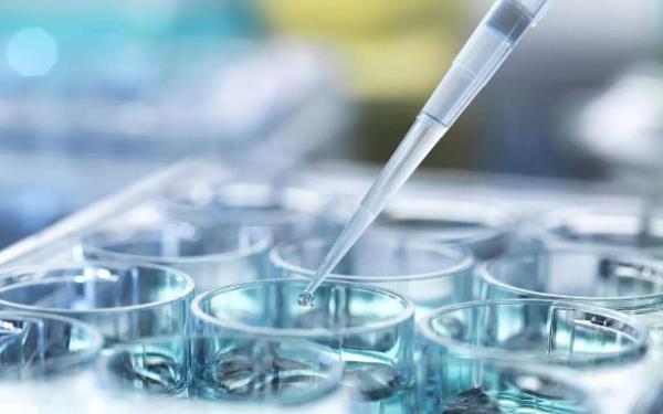 四川供卵试管 做四川试管婴儿需要做好哪些准备呢 ‘孕12周胎儿彩超男女凸起区别’