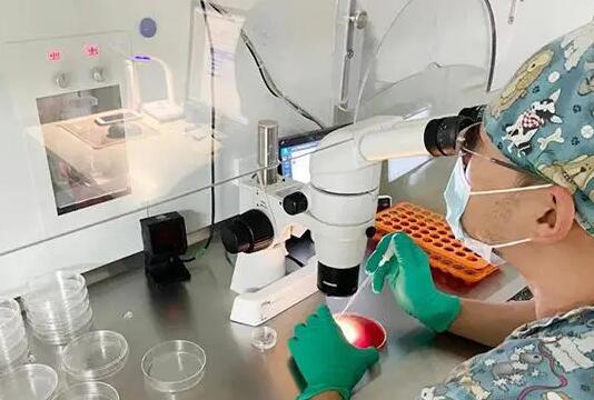 成都供卵试管资讯 2022成都市锦江区妇幼保健院试管婴儿成功率一览 ‘12周b超第一行M开头是男’