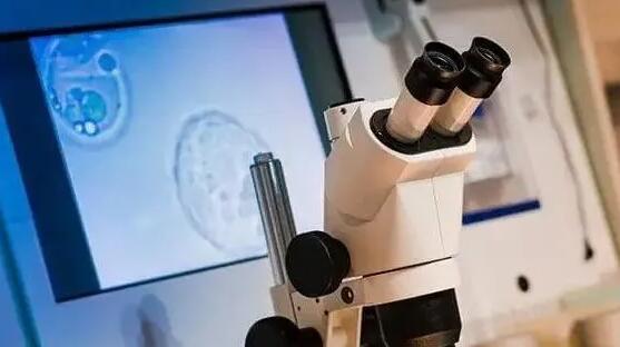 保定私立试管 保定做试管婴儿最好的医院，2023保定试管助孕医院排行榜 ‘怀女孩的初期特征最准’