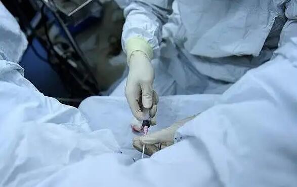 山东三代试管 山东人工授精排名可以当做参考吗？ ‘胎儿脊柱三维成像看男女’