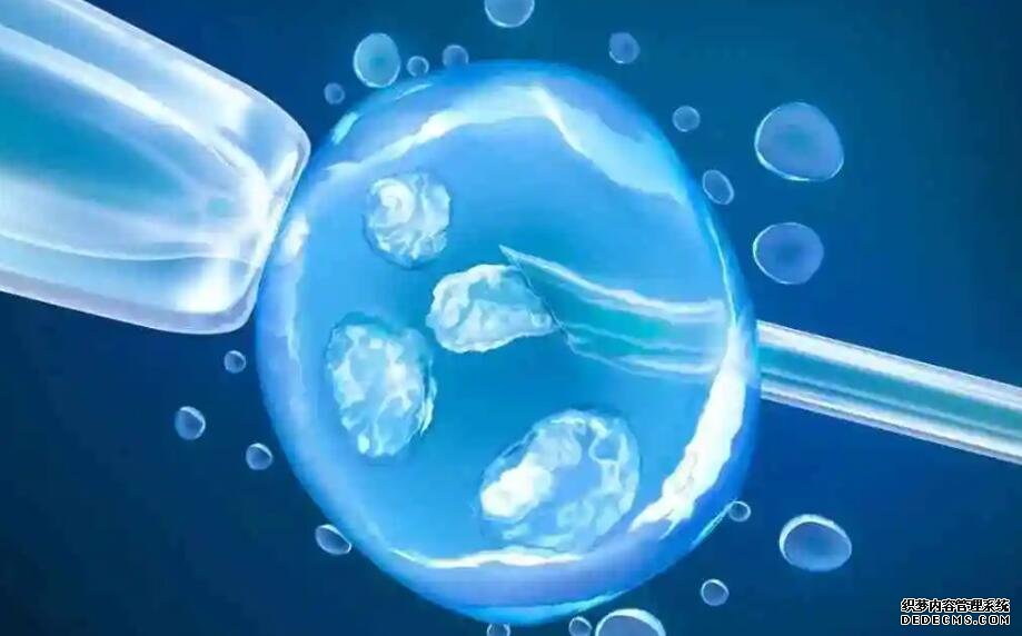 2023最新东莞三代供卵生男孩医院名单已公布！附借卵生子成功率参考