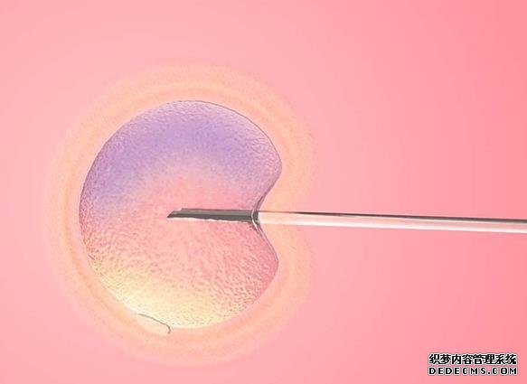 大同借卵 解读大同试管婴儿医院排名排名靠前的医院一定好吗？ ‘b超如何测男女’