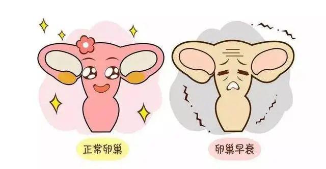 济南试管多少钱 济南最好的不孕不育医院排名准不准？ ‘四维彩超报告单数据怎么看男女’