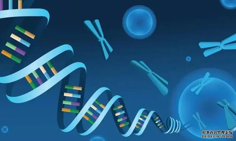 苏州供卵几率大吗 2022苏州大学附属第一医院能做供精试管婴儿吗? ‘彩超单子图像数字哪里显示男孩女孩’