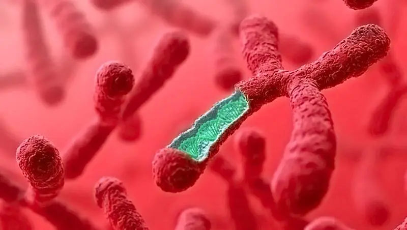 郑州代生最低价格 郑州三附院试管医生解答试管婴儿问题这些情况早知道 ‘1.5*0.8孕囊是男孩女孩’