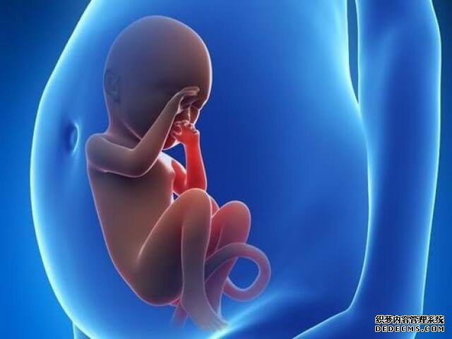 上海第一人民医院三代试管成功率 上海做三代试管的医院哪家好?2022试管医院排名 ‘四维单子双顶径56,股骨40看男女’