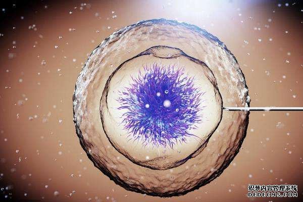 子宫憩室对移植的影响，出血淋漓不断是明显特征