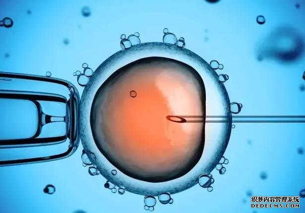 胎儿双顶径有玄机，一文教你看懂胎儿双顶径