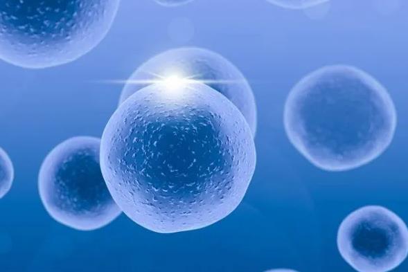 广东省三代试管 广东省产假具体规定多少天？ ‘四个月看b超怎么看男孩女孩’